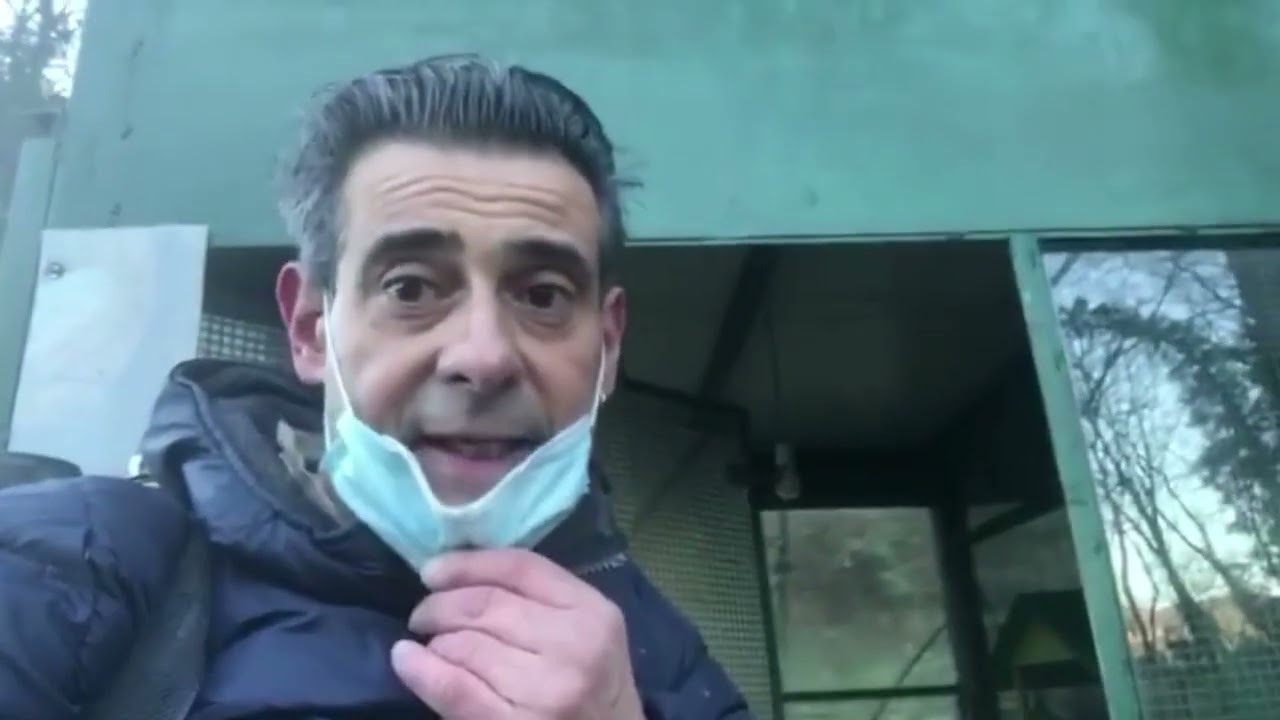 Trattamento prevenzione acari - CANARINI -