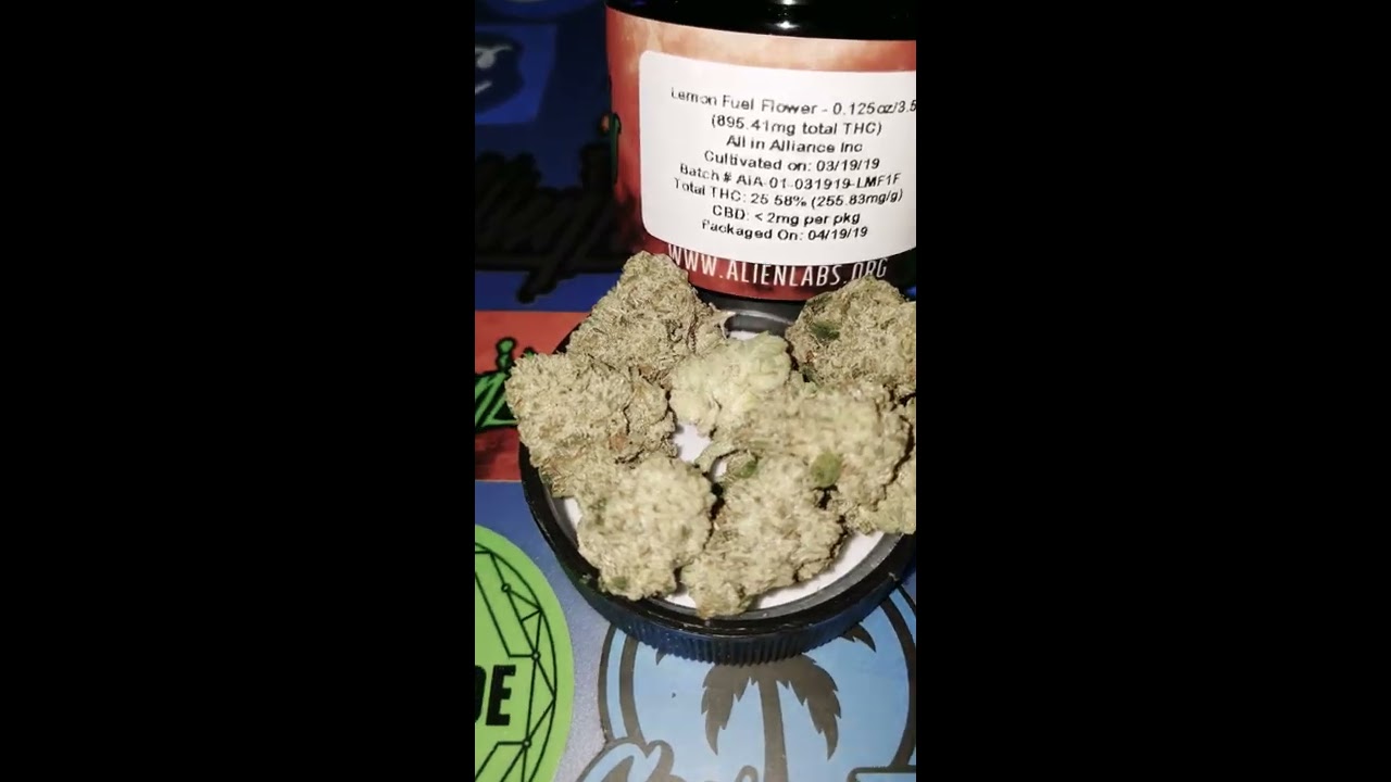 🍋🍋🍋⚗⚗⚗  LEMON FUEL ALIEN LABS STRAIN ⚗⚗⚗🍋🍋🍋