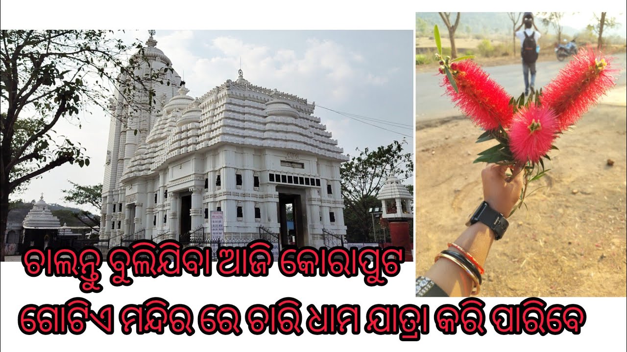 ଚାଲନ୍ତୁ ଆଜି କୋରାପୁଟ ଯିବା🫰♥️#ytviralvideo #koraput #video #jagannath