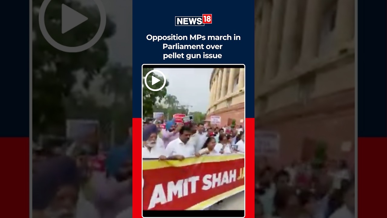 Rahul Gandhi Lead Opposition March in Parliament Against Amit Shah Over CJP Protest Crackdown