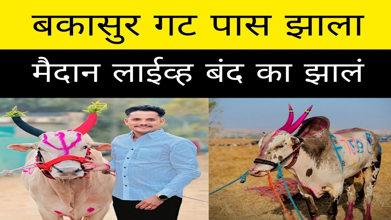 बकासुर आणि मुंबई चा विमान सुट्टा गट पास.. मैदान लाईव्ह का दिसत नाही ?