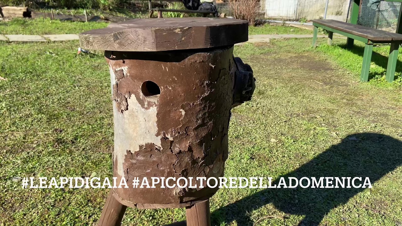 Api, ecco l&rsquo;antenato delle arnie