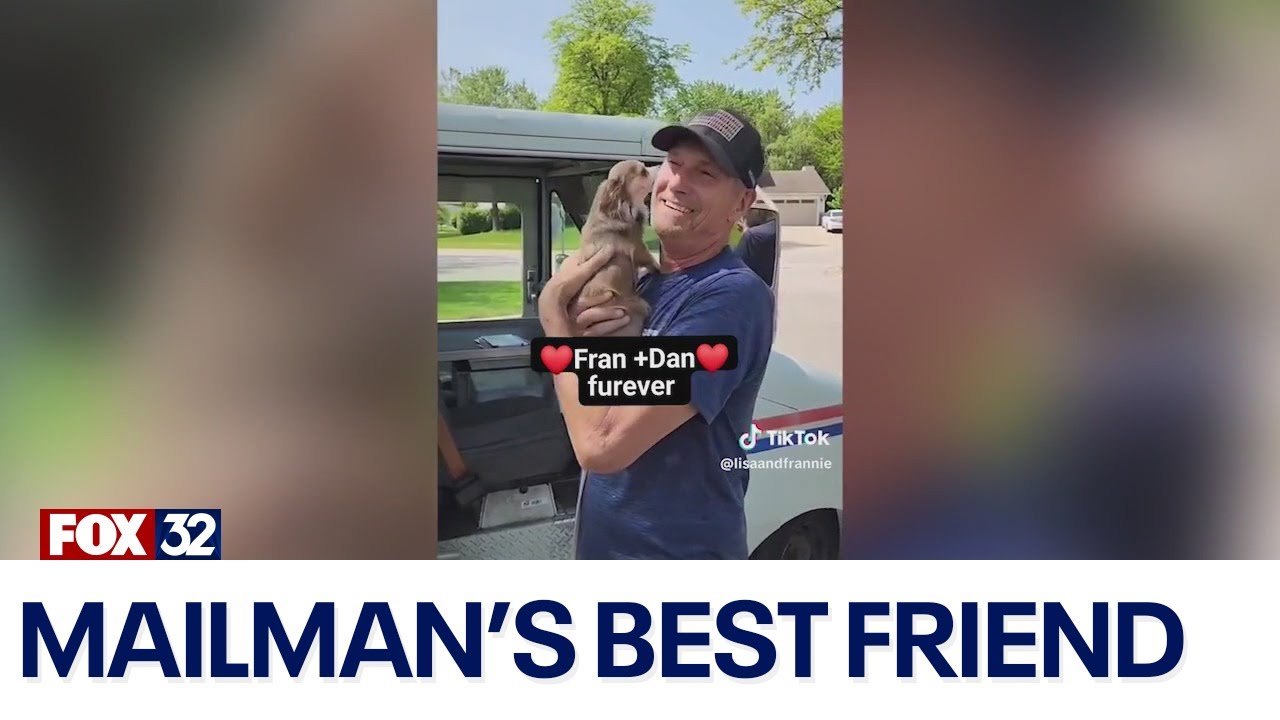 Suburban Chicago dog, postman go viral on social media