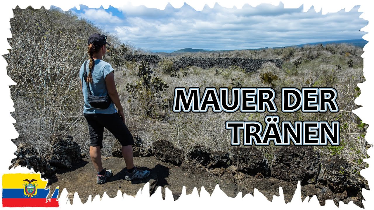 Tour zur Mauer der Tränen  •  Traumhafte Isla Isabela  |  Galapagos Reise 10
