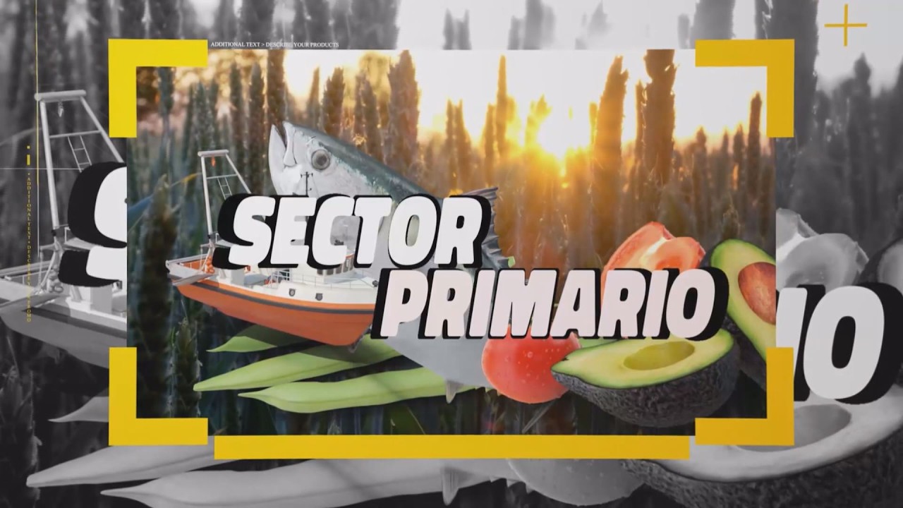Sector Primario 04 de marzo de 2026 04 03 26