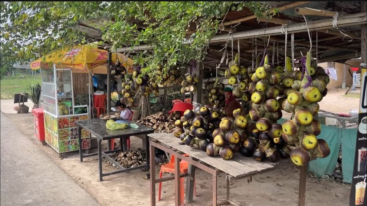 Road Trip To Kratie Province, Cambodia