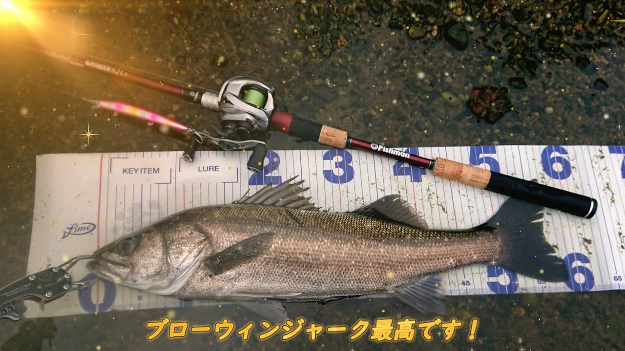 Beams CRAWLA(ビームスクローラ)9.2L+ ＆ BLOOOWIN!(ブローウィン)125F-Slimジャーキングで河口シーバスフィッシング！