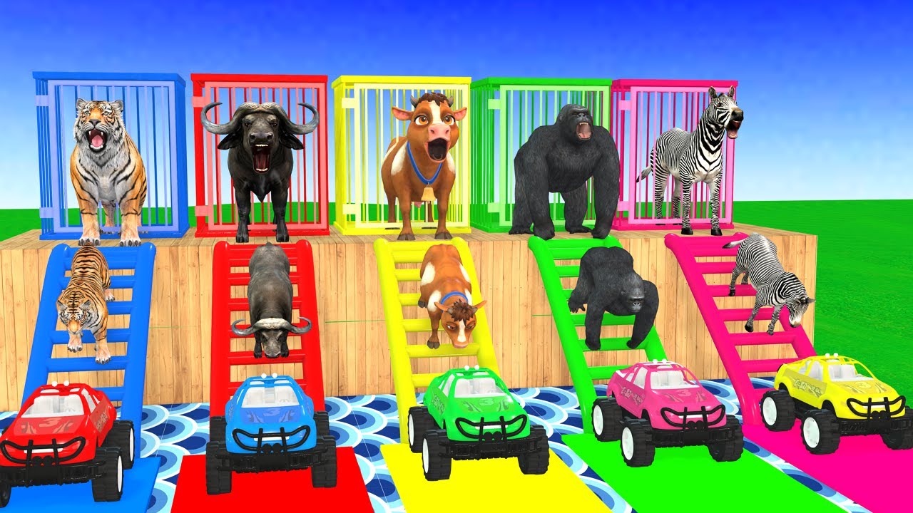 Long Slide Game With Cow Elephant Gorilla Hippopotamus Tiger - 3d Animal Game - Funny 3d Animals