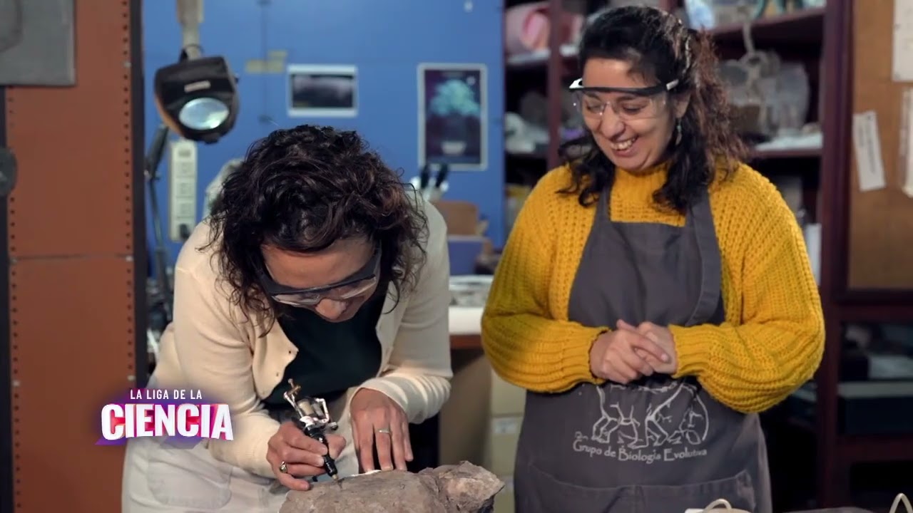 Nueva técnica paleontológica para estudiar fósiles