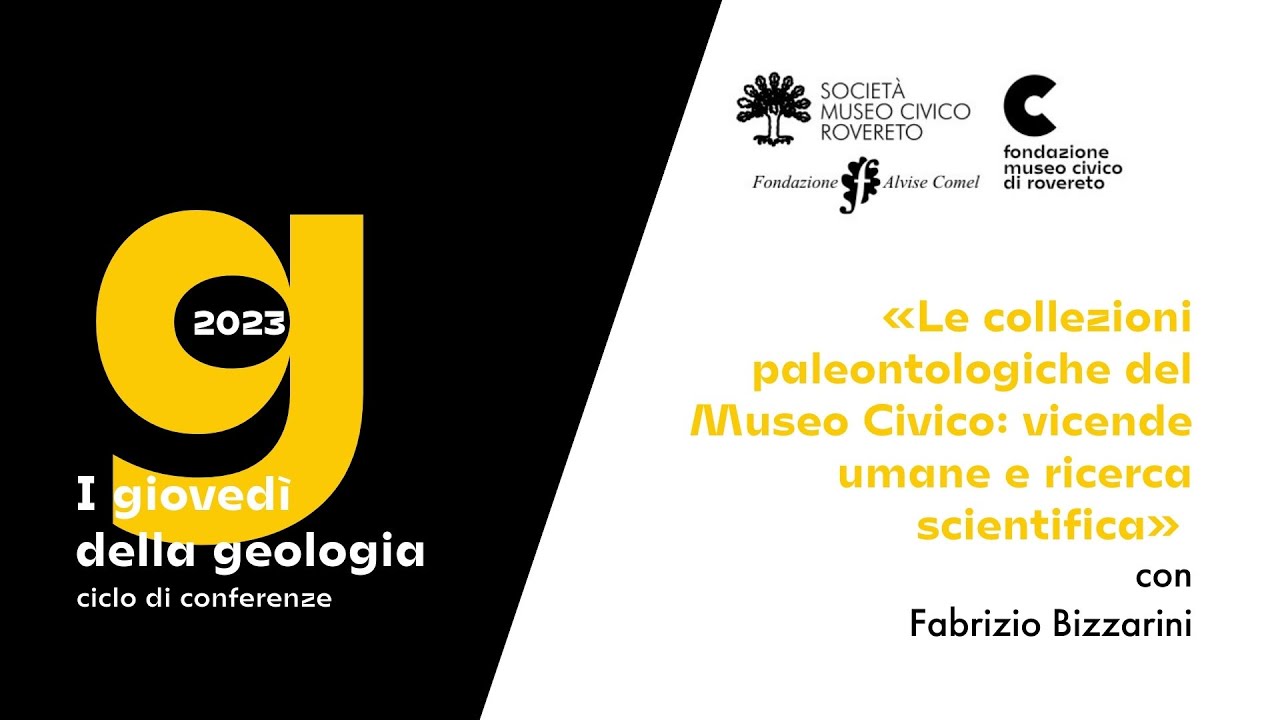 Le collezioni paleontologiche del Museo Civico: vicende umane e ricerca scientifica