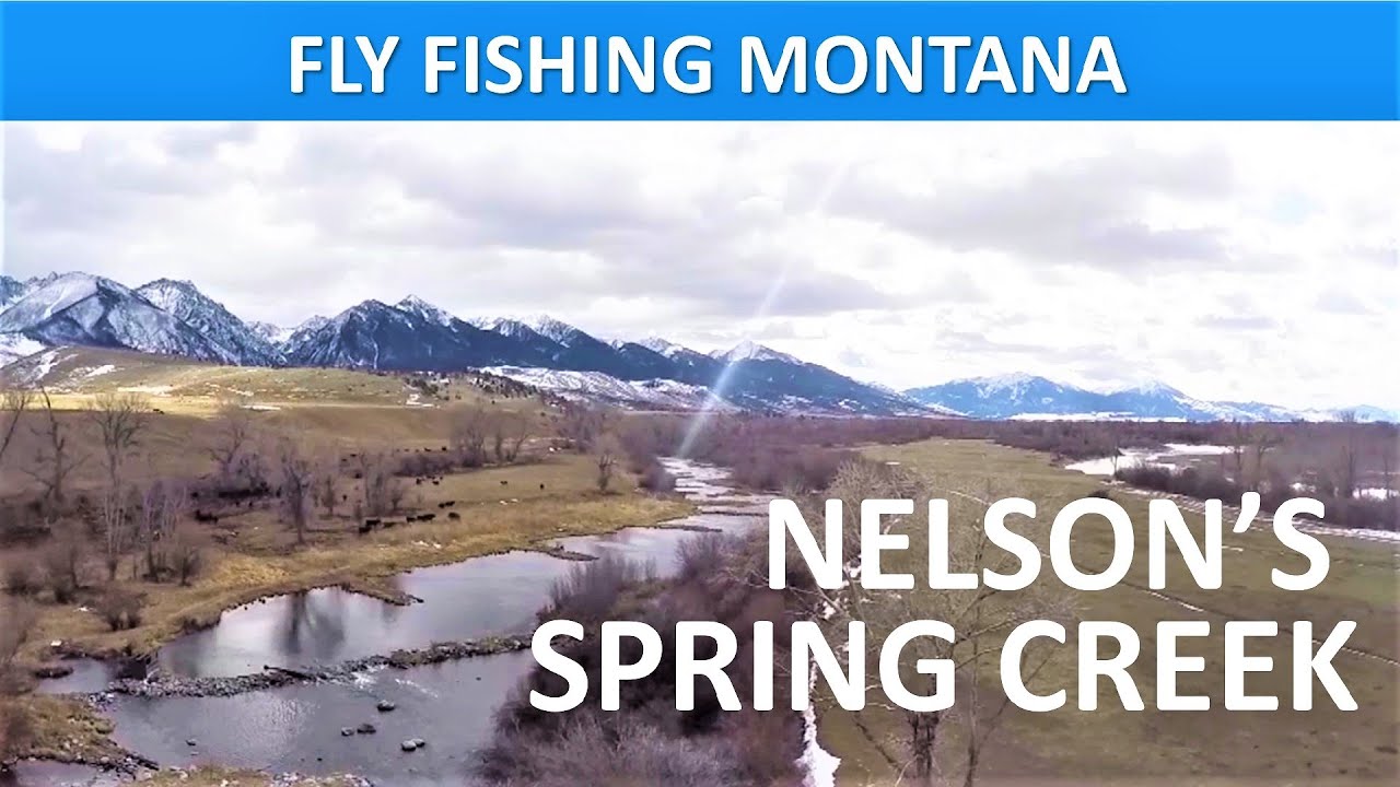 Fly Fishing Montana Nelson’s Spring Creek February [Series Episode #55]