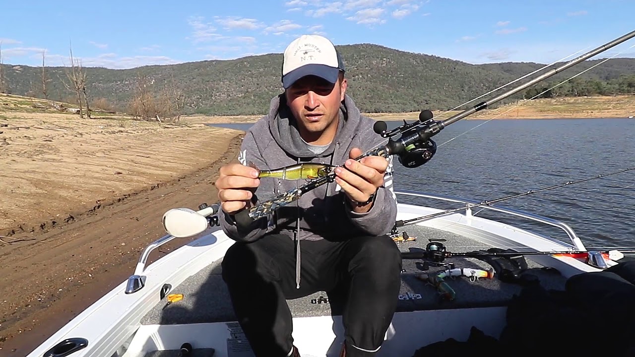 Preparing for Copeton's Murray Cod
