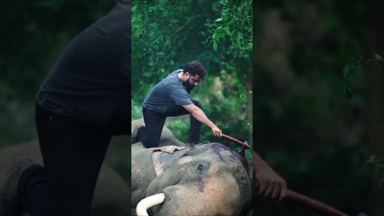 Kattalan movie behind the scenes | Making video | Antony varghess pepe