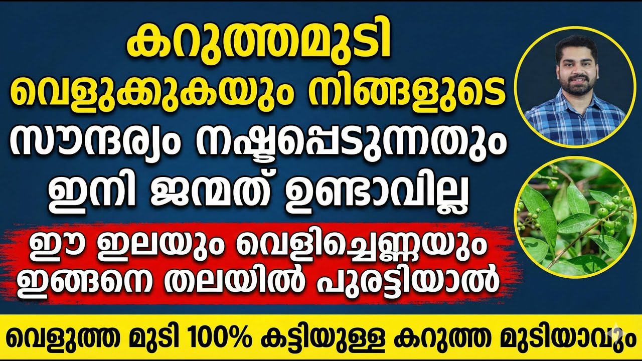 ഈ ഇലയും വെളിച്ചെണ്ണയും തലയിൽ പുരട്ടിയാൽ വെളുത്ത മുടി 100% കറുത്ത മുടിയാവും| naracha mudi karuppikkan