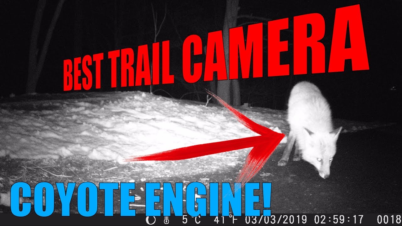 Gear All Guys Should Have (Series): Campark T45 Trail Camera Review