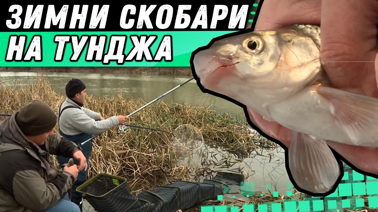 Зимни СКОБАРИ на р. ТУНДЖА