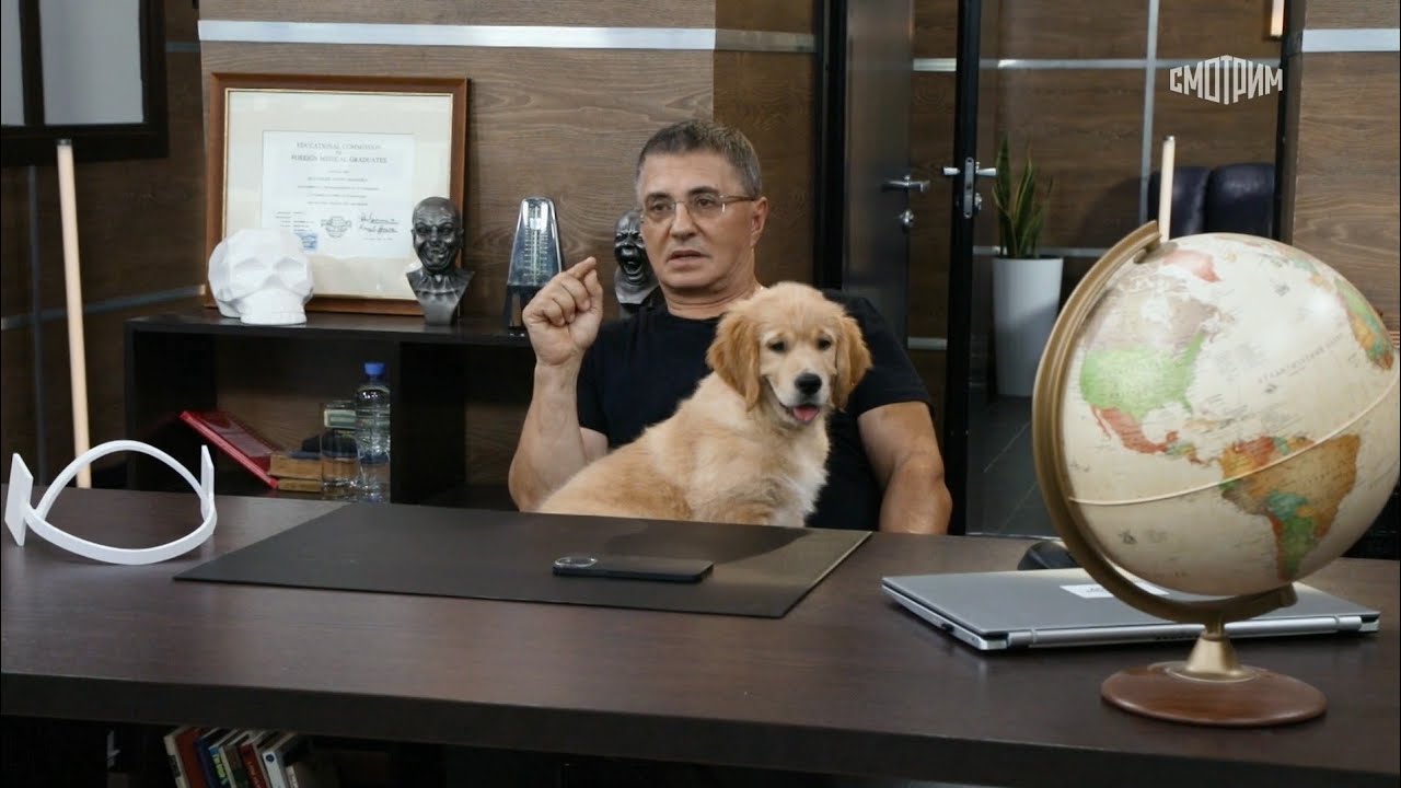 Доктор Мясников. Боли в пояснице, польза яблок и груш // Эфир от 24.08.2024