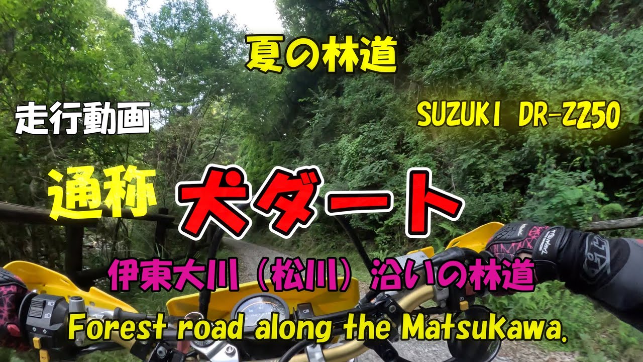 通称・犬ダート[SUZUKI DR-Z250]