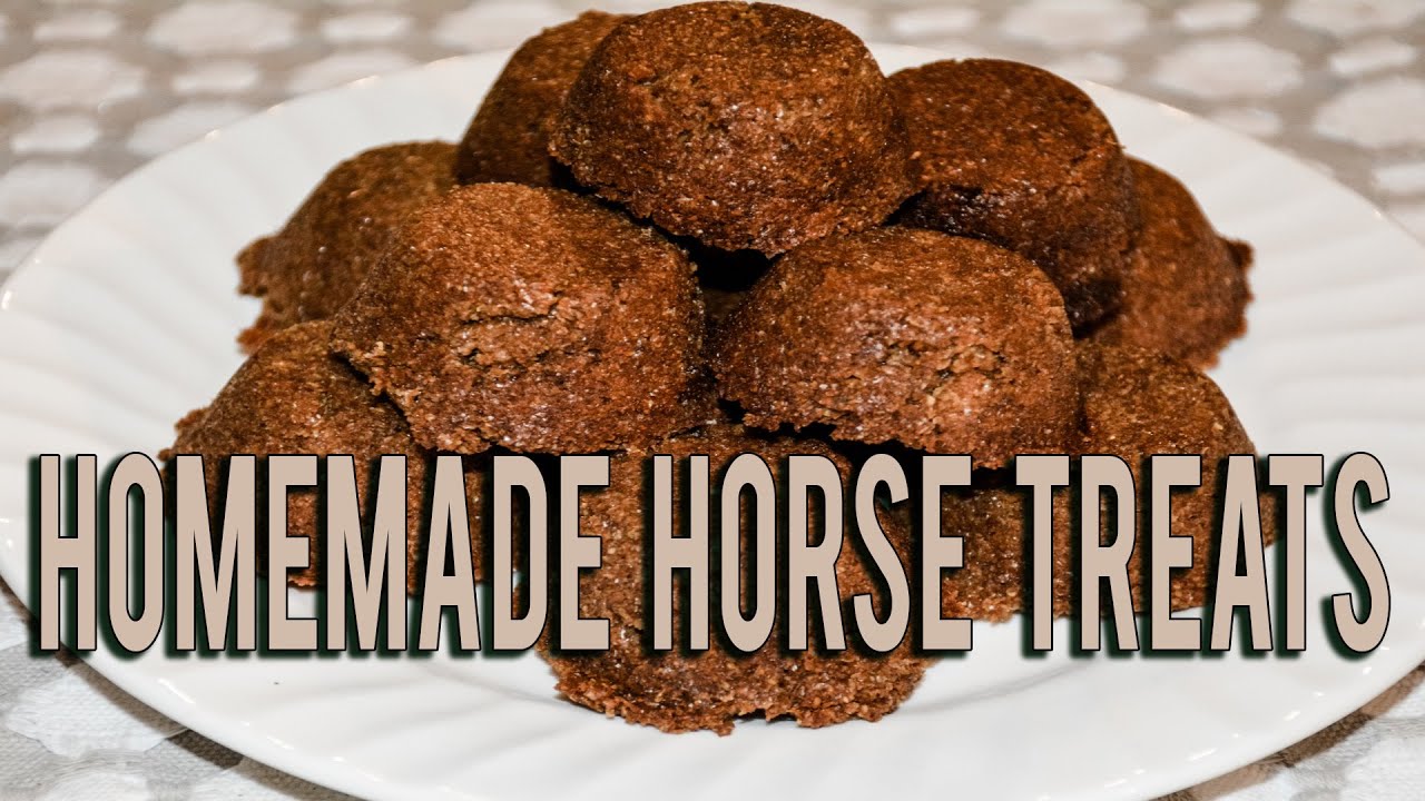How To Make Your Own Soft Horse Treats - Budget Equestrian DIY