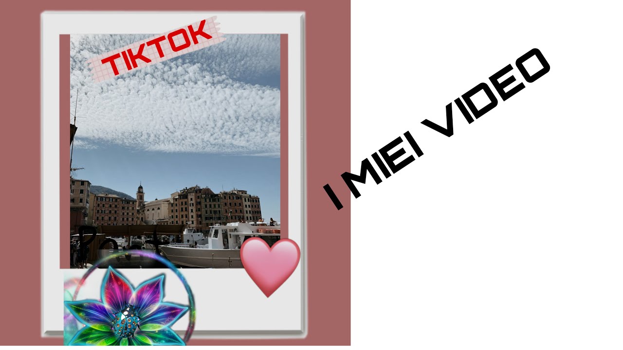 TIKTOK VIDEO