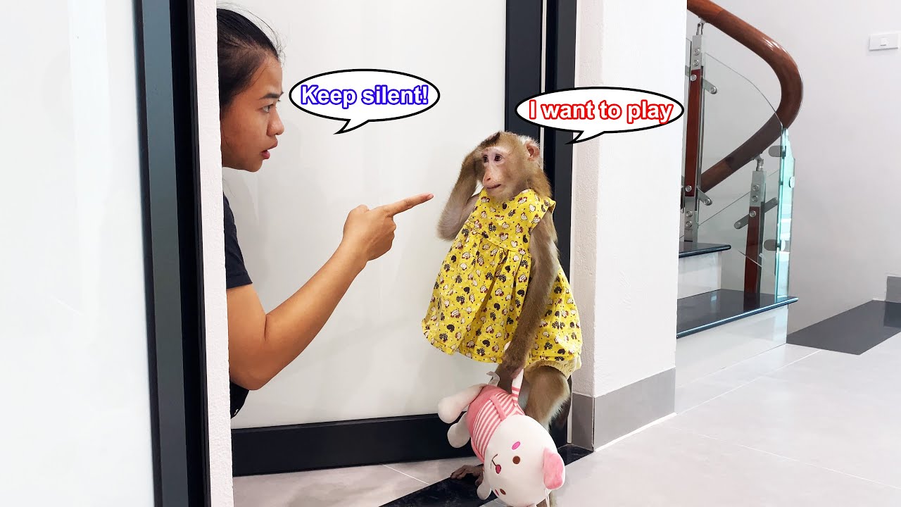 Monkey Lyly was suddenly not allowed into the bedroom by her mother because she was too naughty.