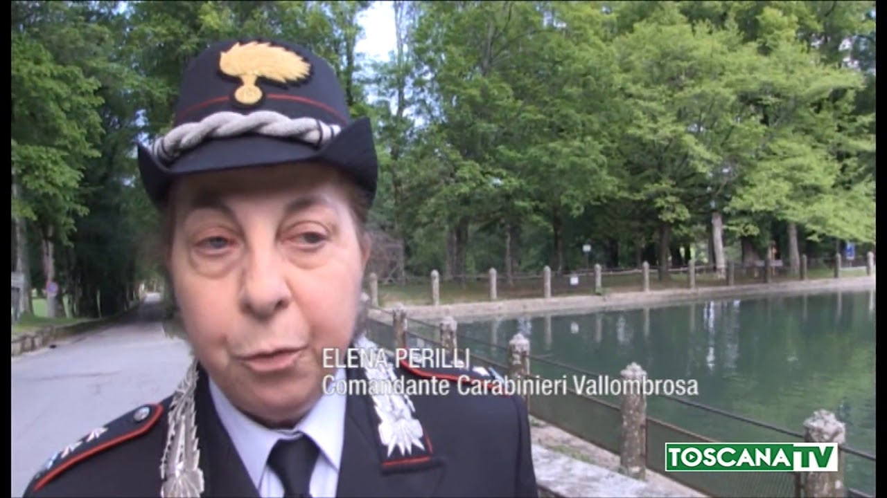 2018-07-07 VALLOMBROSA - L'ANTICA ABBAZIA E L'ALBERO PIÙ ALTO D'ITALIA