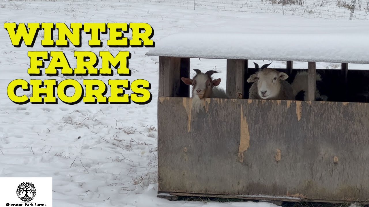 Winter Farm Life - Snowy Farm Chores