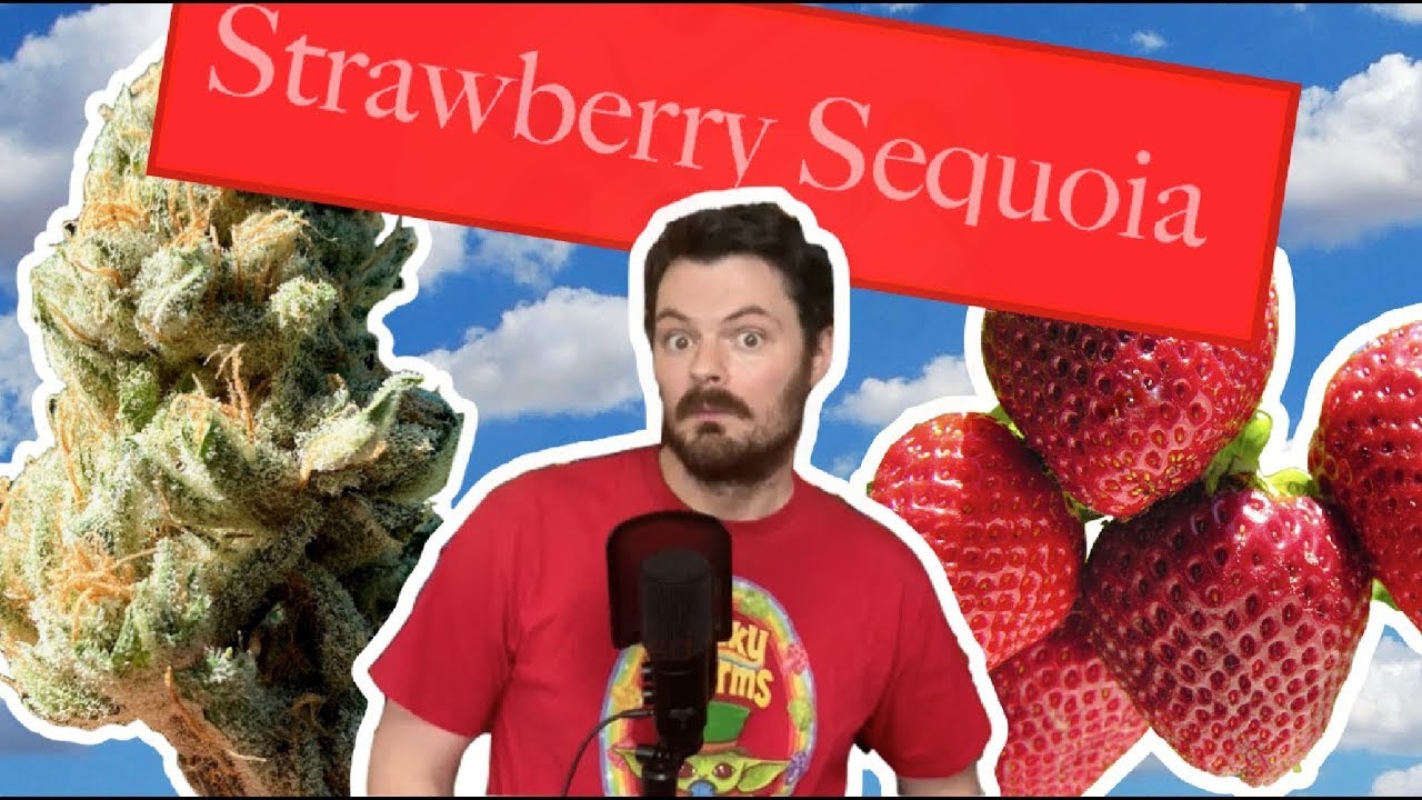 Season 1 Episode 2: Dry Weed In The Market/