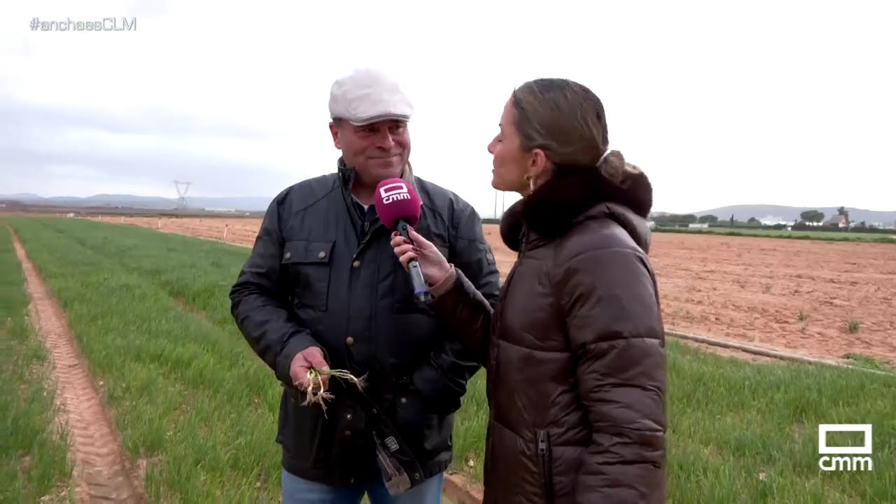 Los mayores productores de calçots están en Consuegra