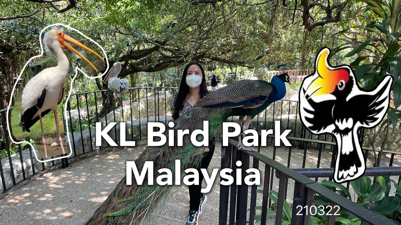 Taman burung kuala lumpur 2022 | kl bird park 2022 | #klbirdpark #kualalumpur