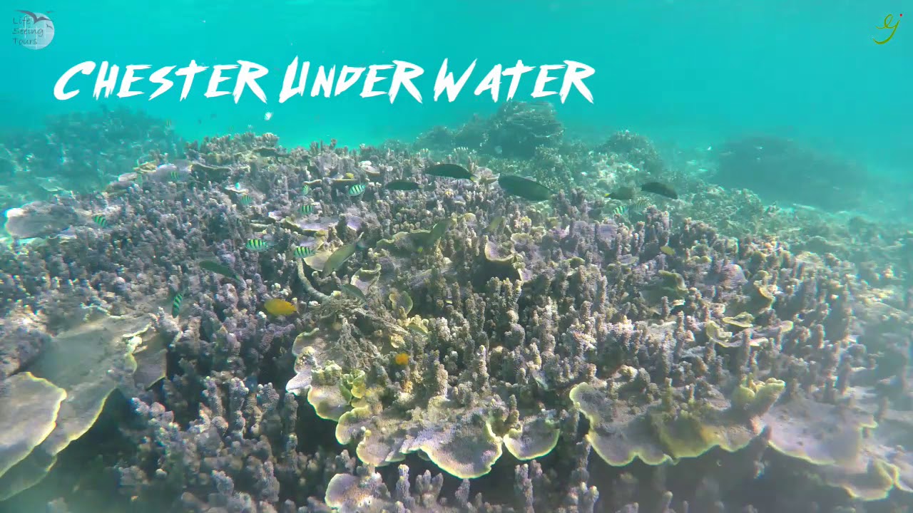 Mergui Archipelago, Travel in Myeik