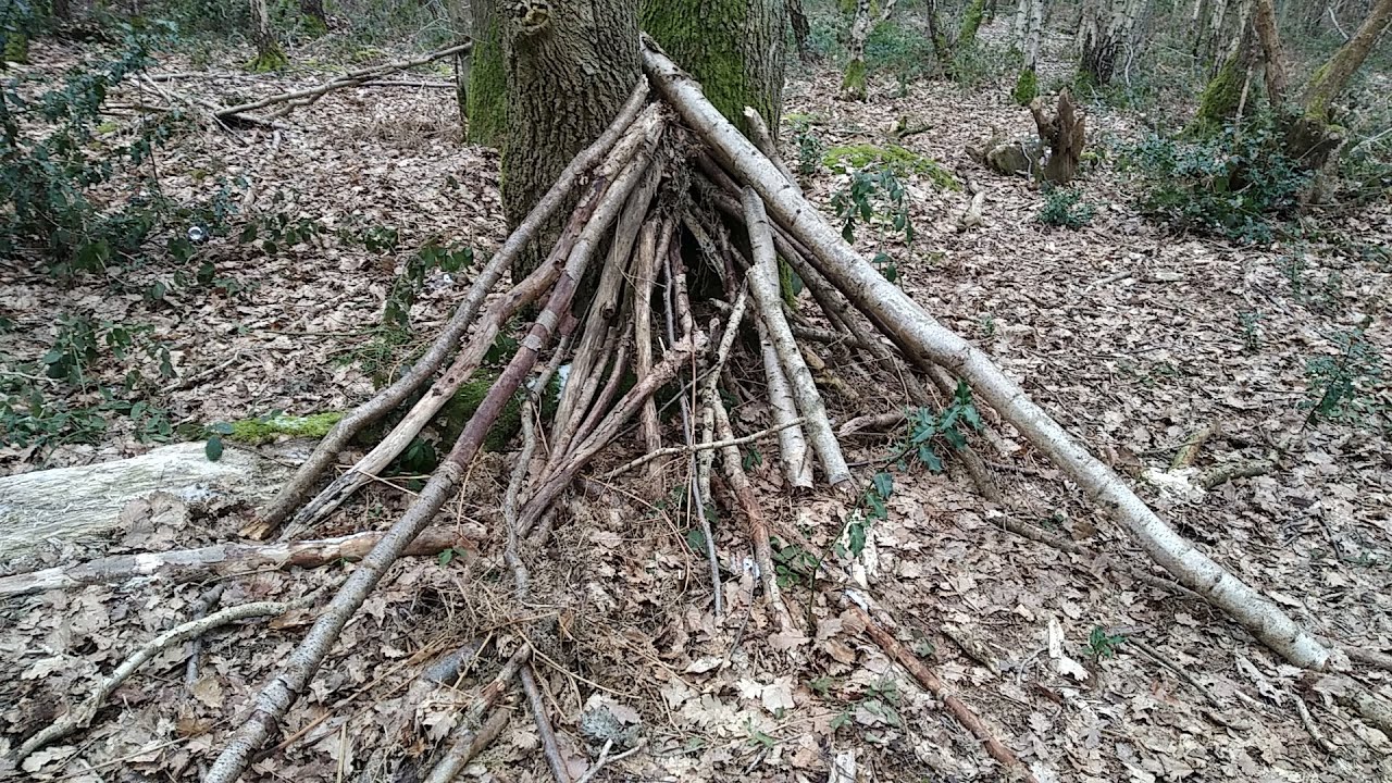 Episode 37: Hopwas Hays Woodwose
