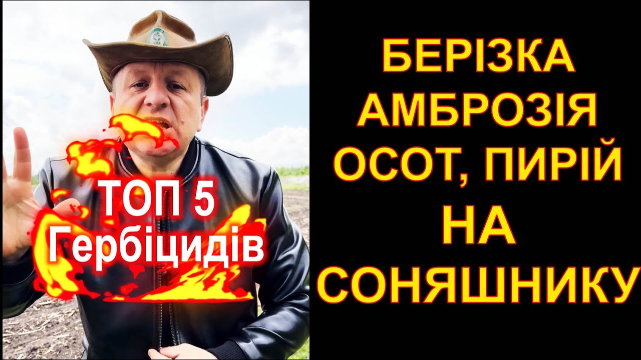 ТОП 5 Гербіцидів на СОНЯШНИК #геліантекс #берізка #клетодим #гранстар #євролайтинг #гранстар