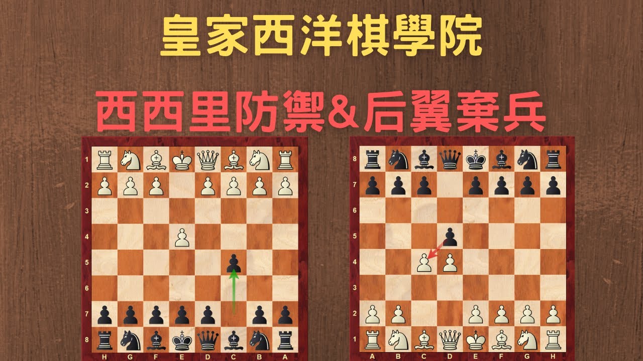 【Rey的西洋棋】西西里防禦開局網課 免費體驗課| 国际象棋 | Chess