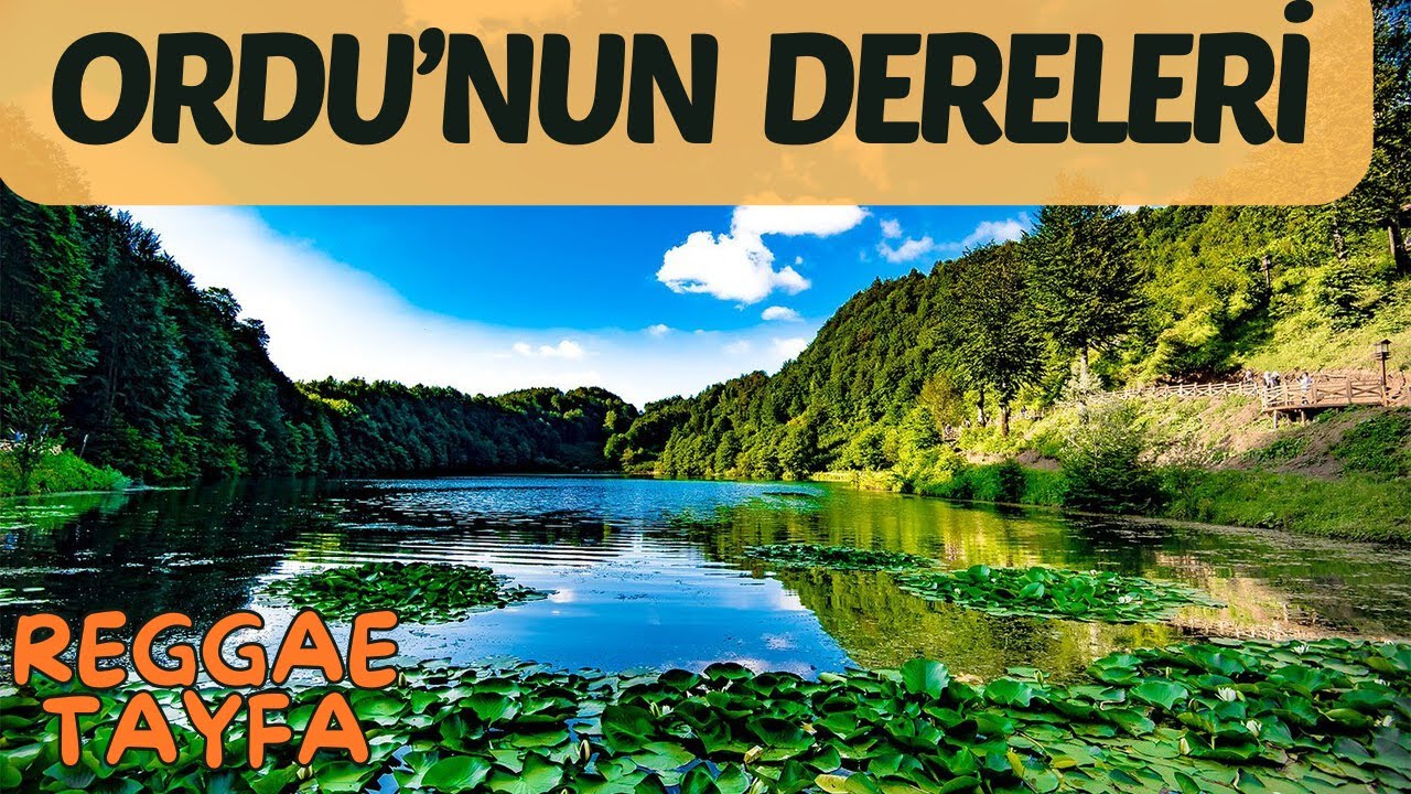 Ordu'nun Dereleri (Slow Reggae) - Reggae Tayfa #OrduTürküleri #AnadoluReggae