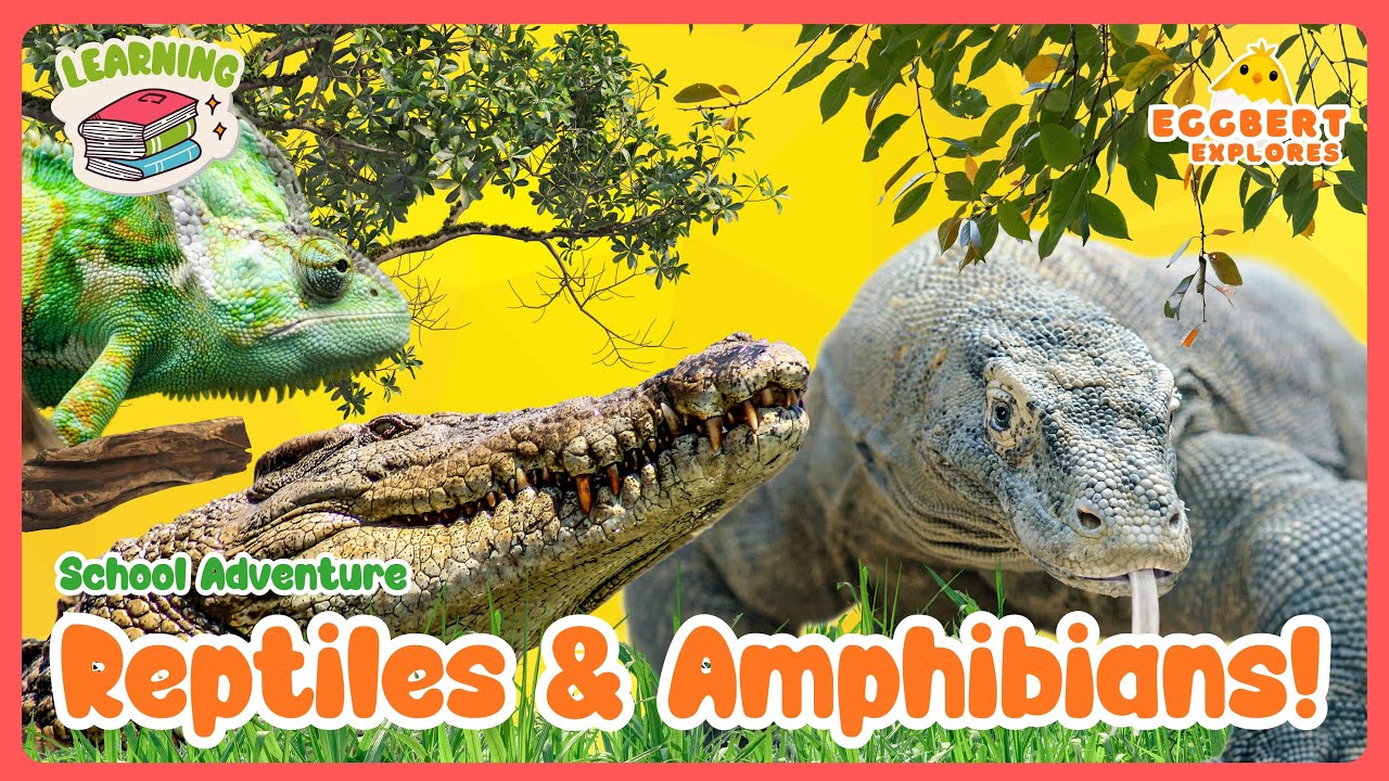 Guess the Animal Sound: Reptiles & Amphibians for Kids | Fun & Educational Learning
