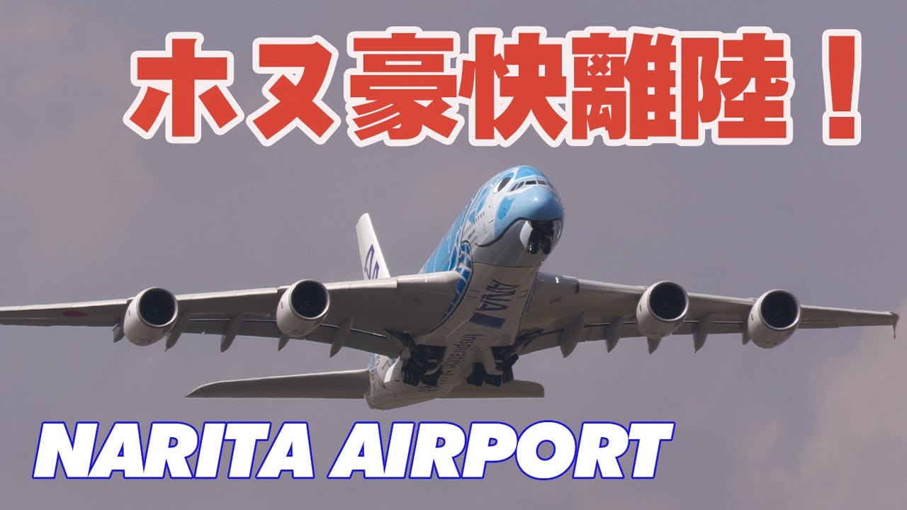 [4K] ANA A380 巨大旅客機の豪快な離陸を迎え撃つ! FLYING HONU Takeoff チャーターフライト