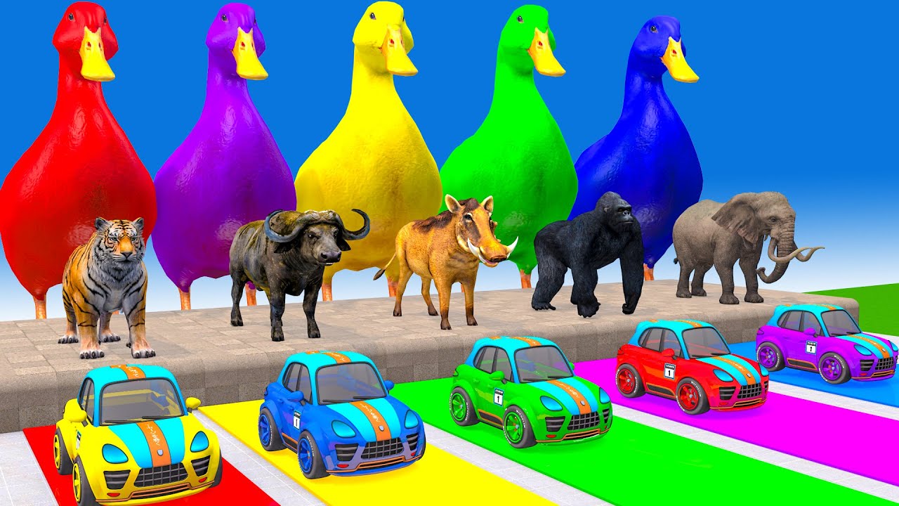 Long Slide Game With Elephant Buffalo Tiger Gorilla Lion - 3d Animal Game - Funny 3d Animals