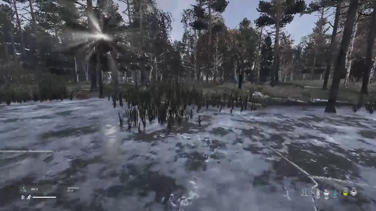 Snowy Wilderness | Ambient DayZ Solo Survival Gameplay 