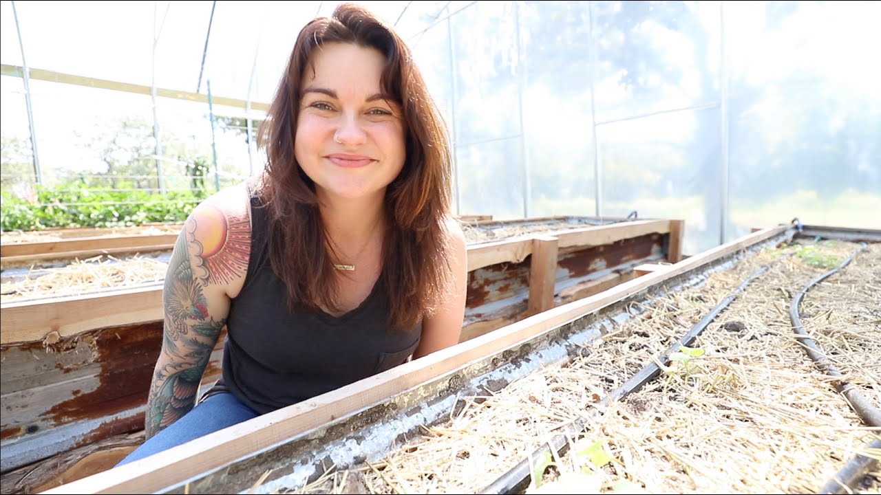 Im STILL harvesting tomatoes (And why I don't shell peas) | VLOG