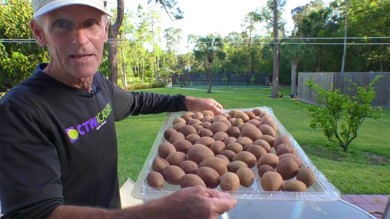 How To Be A Successful Raw Vegan Fruitarian  with Tom Avery Coach to Healthy Living