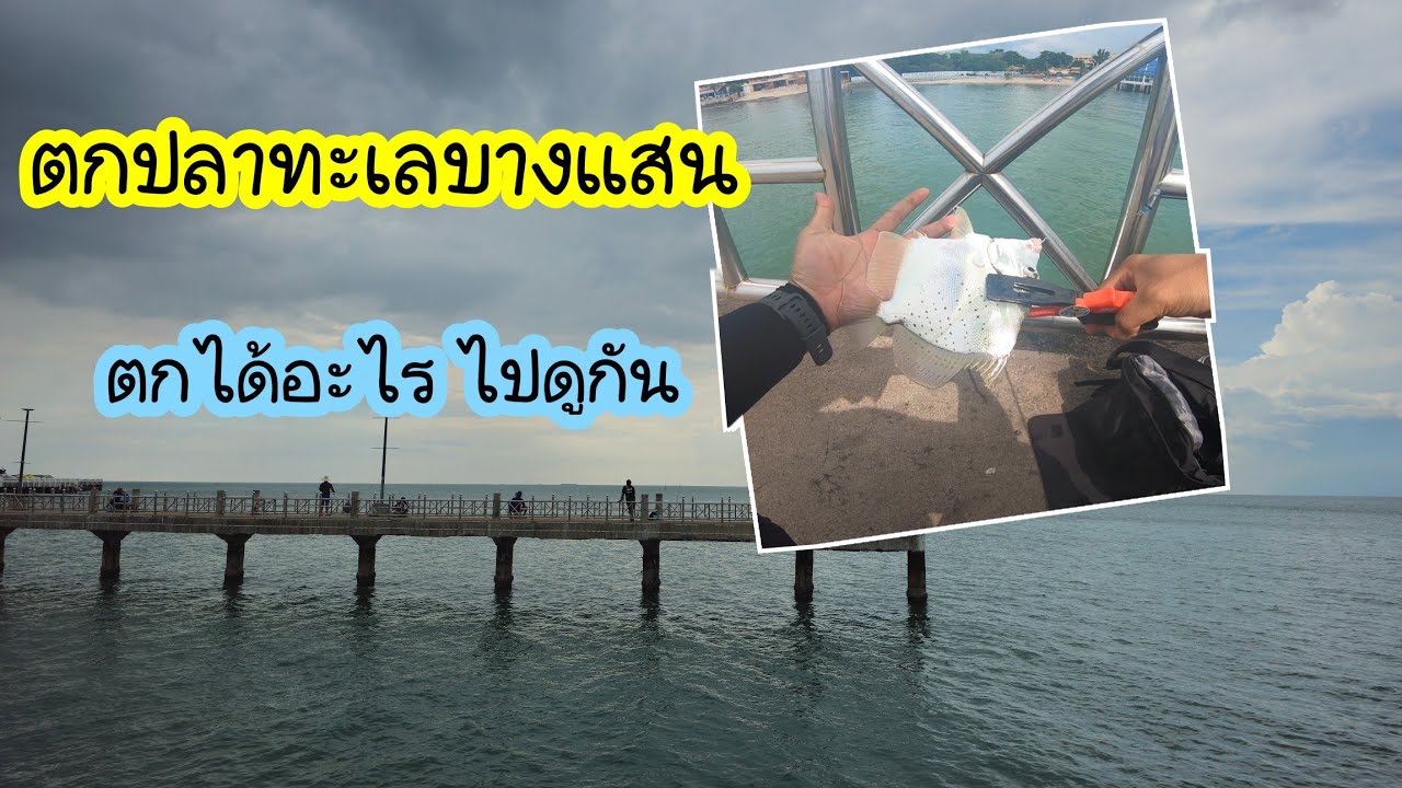 ตกปลาทะเล ชายฝั่ง บางแสนจะเป็นไงไปดู!!!