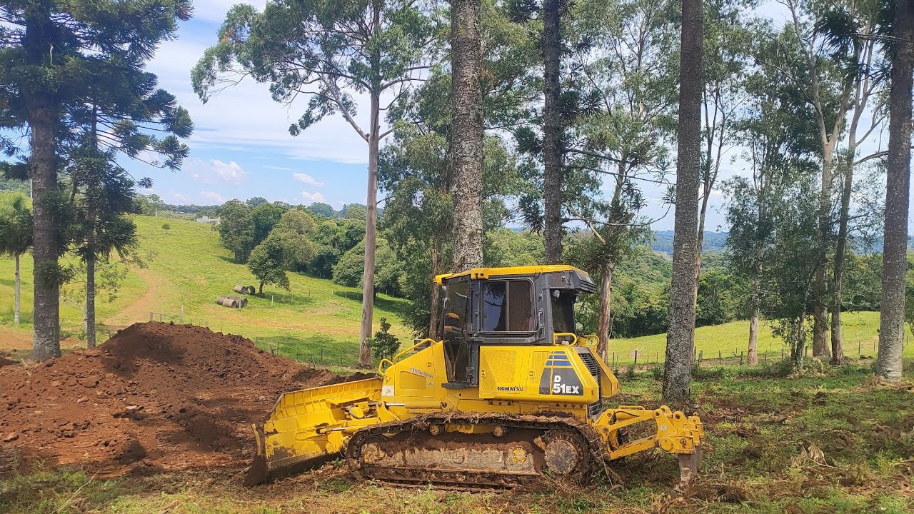 Trator de Esteira Komatsu e Escavadeira Hidráulica VOlVO trabalhando em meio as araucárias! 