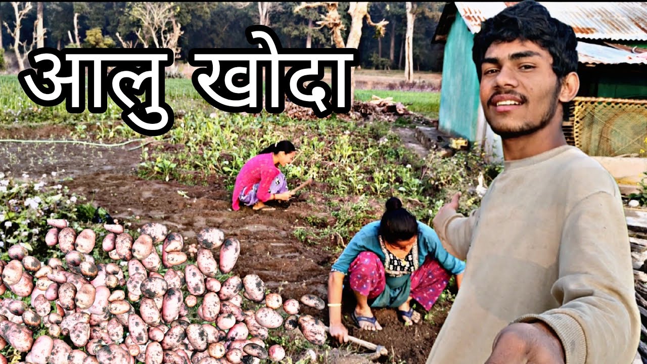 Aalu khoda 😊