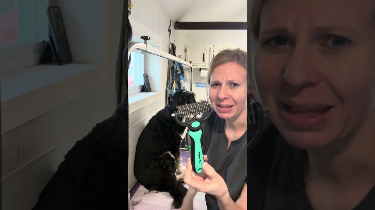 Brushing between grooms
