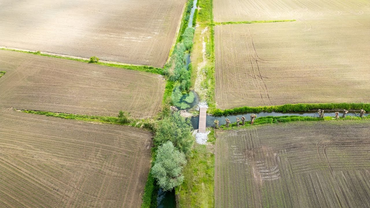 De Ledebeek, van open riool naar veerkrachtig ecosysteem
