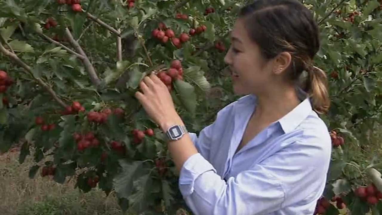 A date with Taigu’s people and produce (Episode 2/2)