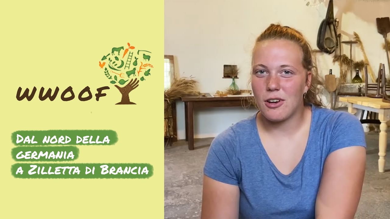 WWOOF - Dal nord della Germania a Zilletta di Brancia