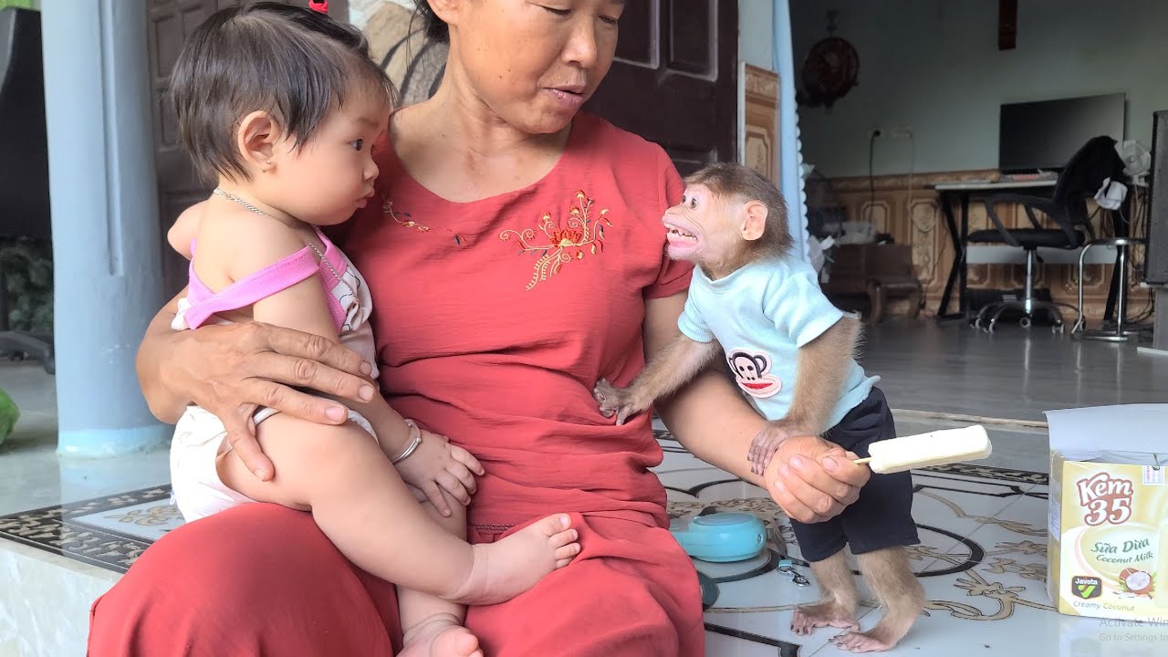 Monkey David threatens baby and refuses to give ice cream