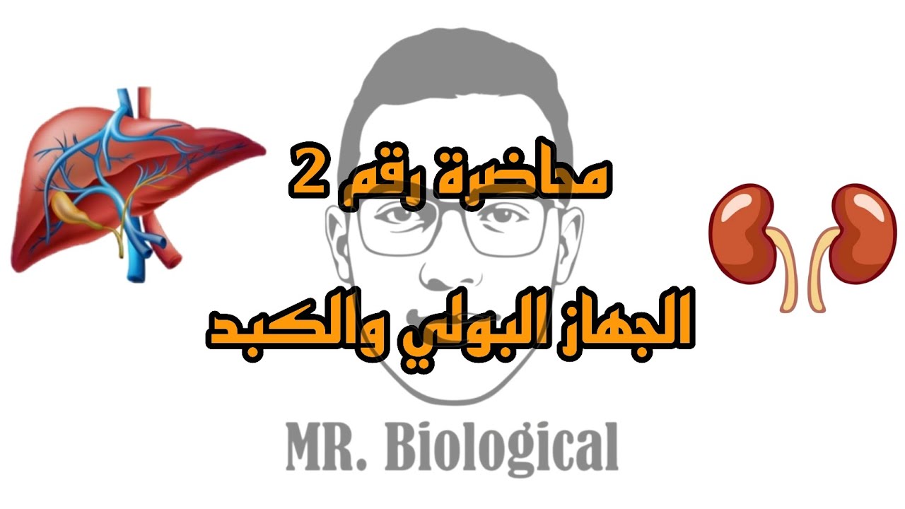 محاضرة رقم 2 الدرس الثاني: الاخراج في الانسان| الجهاز البولي| الصف الثاني الثانوي ازهر الترم الثاني 